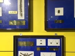 -上海昆虫博物馆