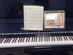 -大象音乐·吉他·架子鼓·声乐(双井店)