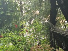 -大妙火锅·非物质文化遗产(东湖公园店)