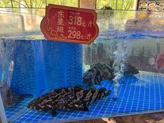 -香融府·烤鸭·家常菜(马家堡路店)