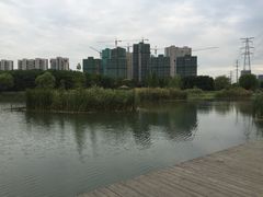 -昆山城市生态森林公园