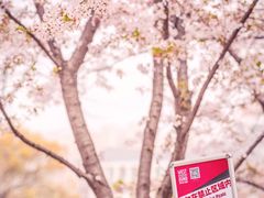 -龙美术馆(西岸馆)