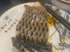 -草墩罗非鱼庄•野生菌•腊排骨(七星街上段店)