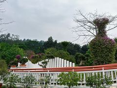 -东莞植物园