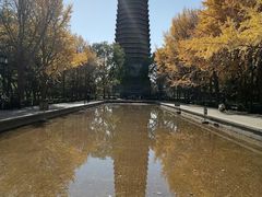 -玲珑塔公园
