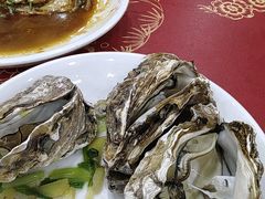 -红灯笼龙凤饭店(宁波老字号店)