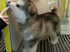 -观音桥步行街