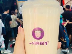 -一只酸奶牛(八一路店)