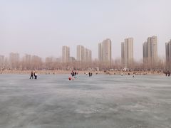 -丁香湖公园