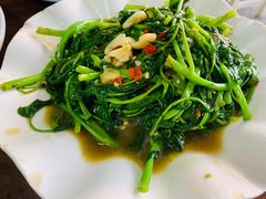 空心菜-Kat's Kitchen