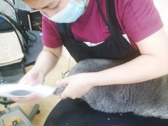 -美联众合动物医院·24h京西诊疗中心