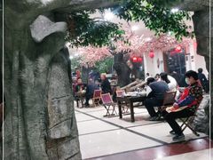 -洪沟崖张记炒鸡店(聚才路店)