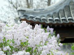-三里河公园