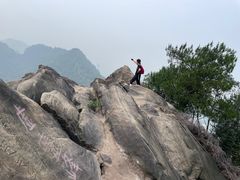 -南山植物园