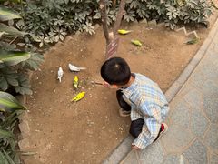 -南宫五洲植物乐园