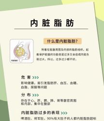 -Lily纤美·科技减脂中心
