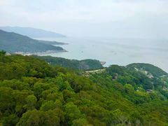 -花竹村