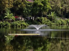 -重庆彩云湖湿地公园