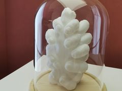 -TRACTION 运动中心(金融街店)