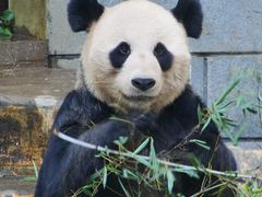 -南昌动物园