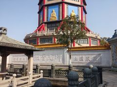 -高旻寺