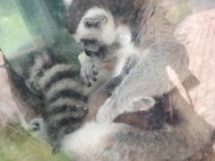 -泉州海丝野生动物世界