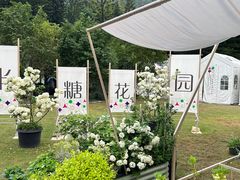 -深圳仙湖植物园