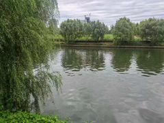-西海子公园
