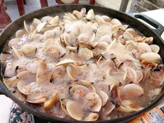 -顺德哥卜卜贝(旗舰店)