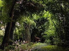 -望江楼公园