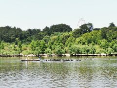 -宁波野生动物园