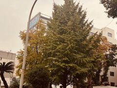 -四川大学(望江校区)