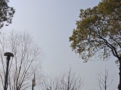 -漕湖湿地公园