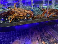 -顺风海鲜港(金玉兰店)