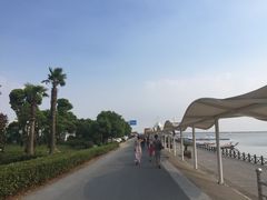 -碧海金沙