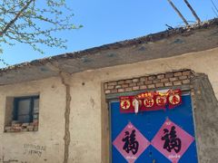 -莱阳濯村樱花园