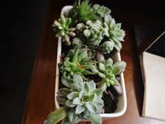 -山也·私厨(岳麓店)