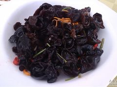 清炒岩耳-椿记烧鹅(叠彩店)