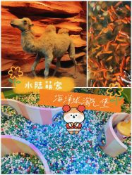 -酷嗒动物文化乐园(cutezoo西溪乐天城店)