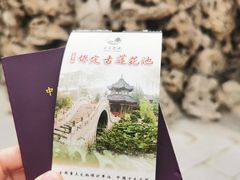 -莲池书院博物馆