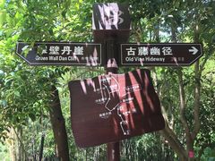 -洪崖丹井