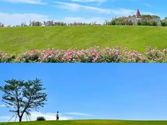 -上海辰山植物园