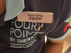 -成都安仁福朋喜来登酒店