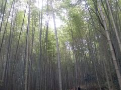 -海窝子古镇