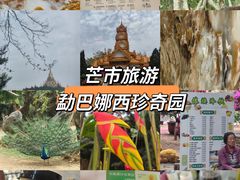 -云南勐巴娜西珍奇园