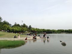 -美兰湖景区