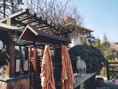 -芭东小镇温泉