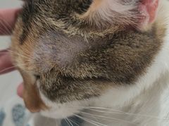 -平行世界·猫咖(首经贸店)