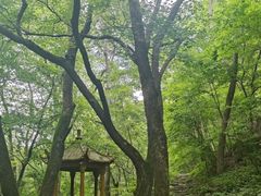 -本溪汤沟绿石谷森林公园