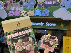 -合肥野生动物园